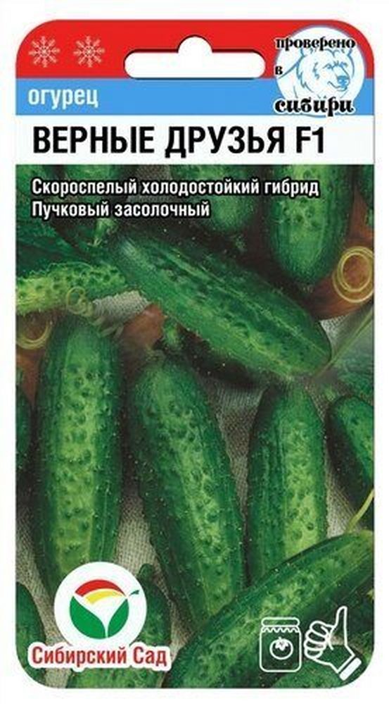 Семена Огурец Верные друзья F1 7шт Сибирский сад *10/200