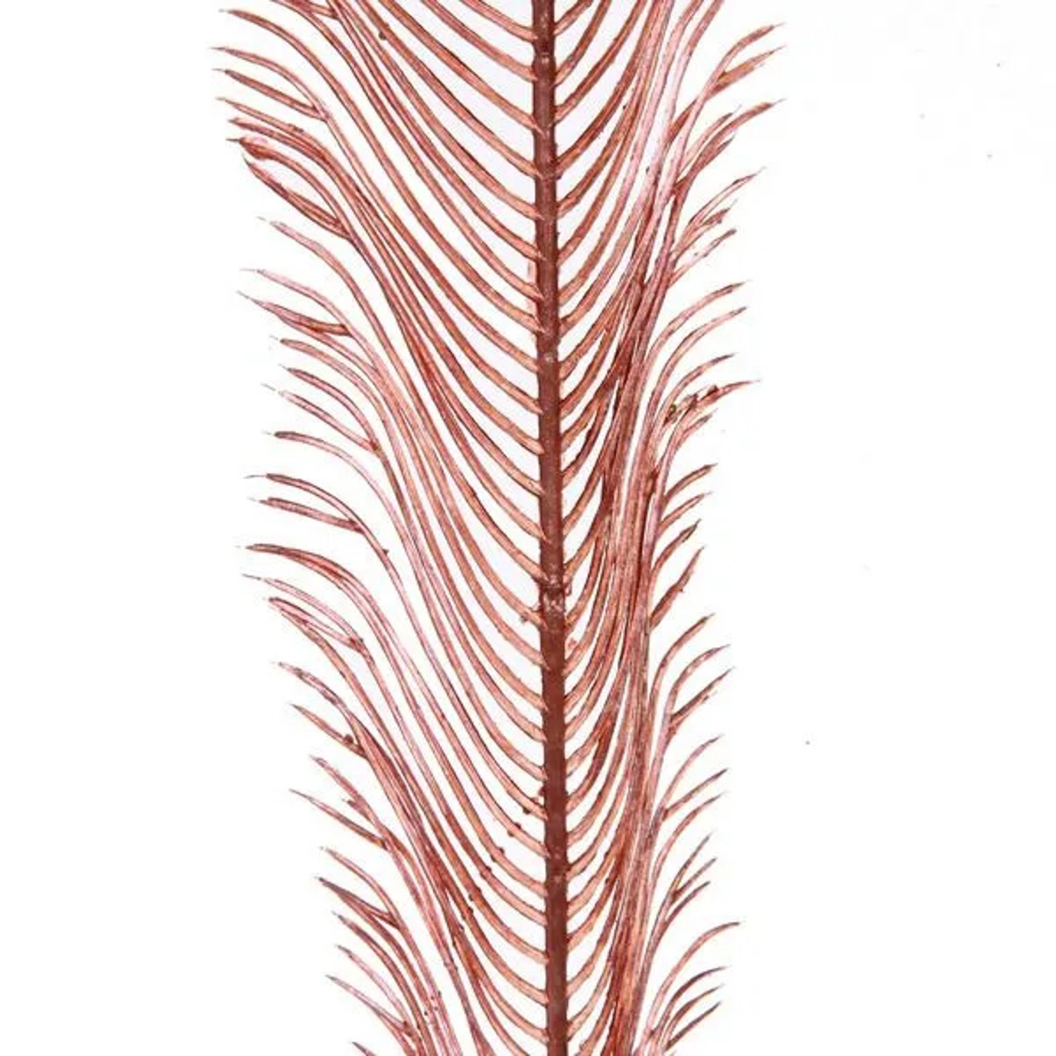 Ветка декоративная "Волшебное перо" 53 см, Розовое золото