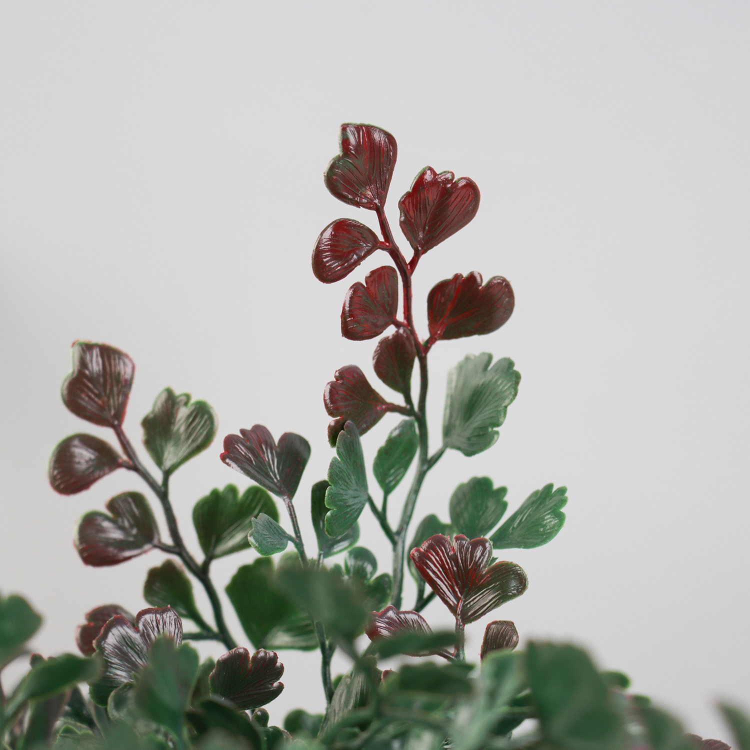 Бонсай в горшке "Скумпия экстра" 24х8,5 см, микс   10463224