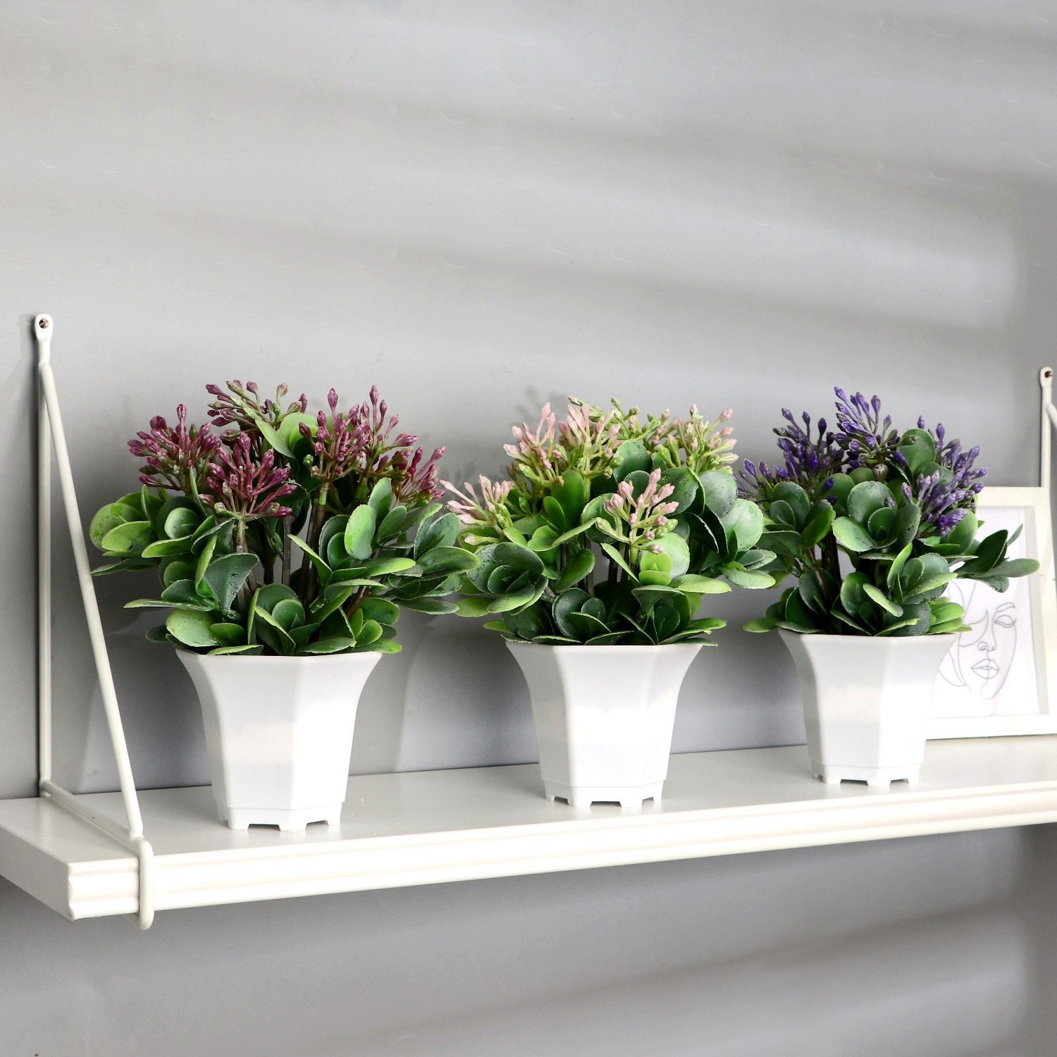 Бонсай в горшке "Сенполия галант" 14х23 см, микс 9222725