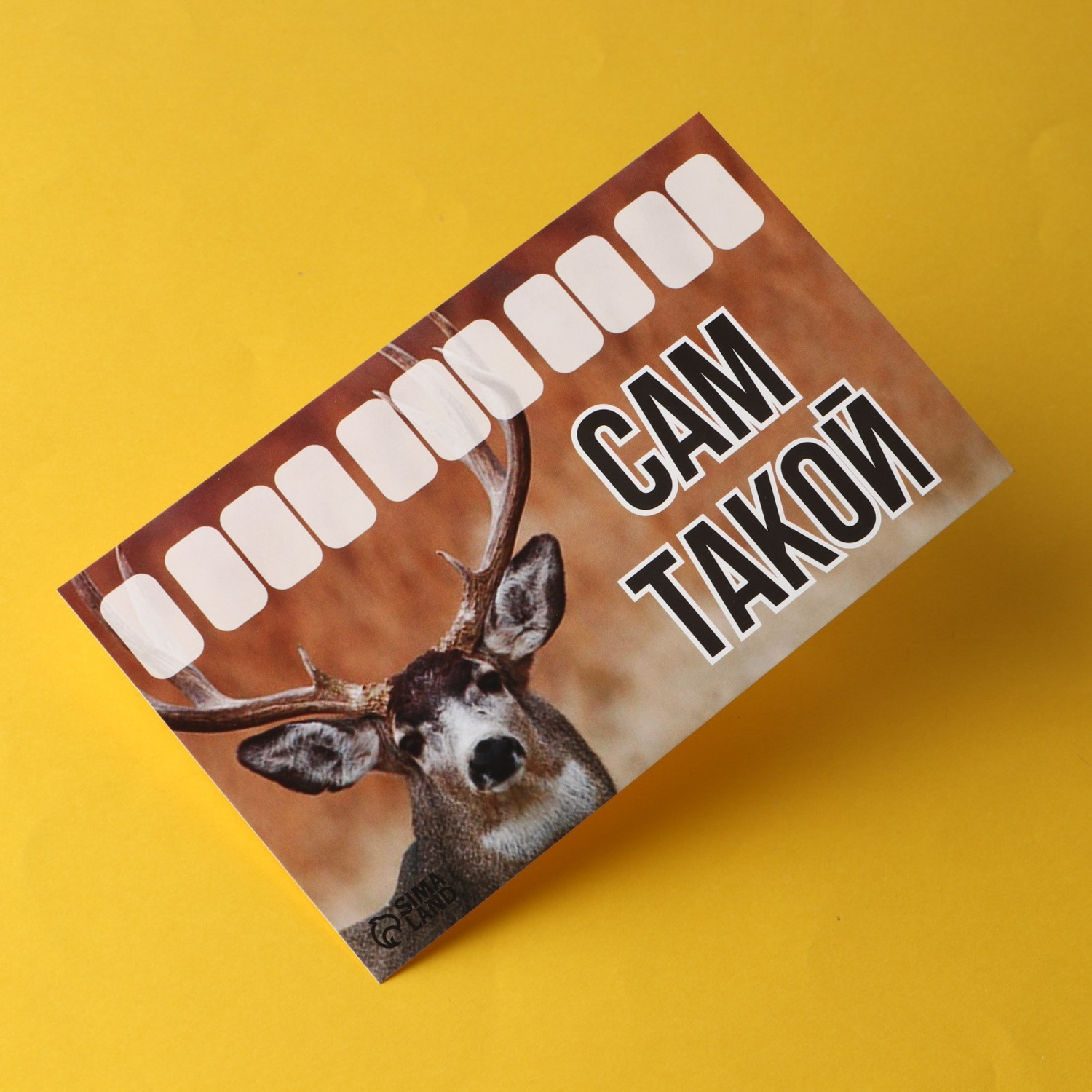 Автовизитка "Сам такой" 9215583 Автовизитка "Сам такой" 9215583