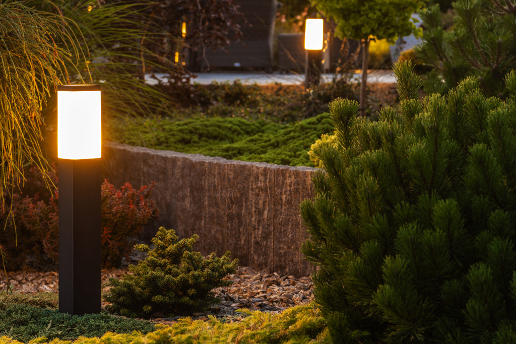 high-angle-view-plants-growing-field (1).jpg