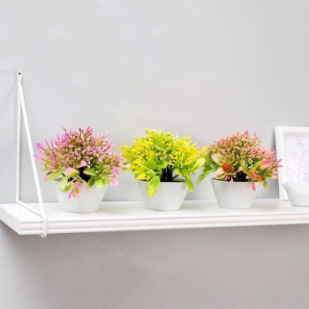 Бонсай в горшке "Горечавка" 10х15 см, микс 5201941