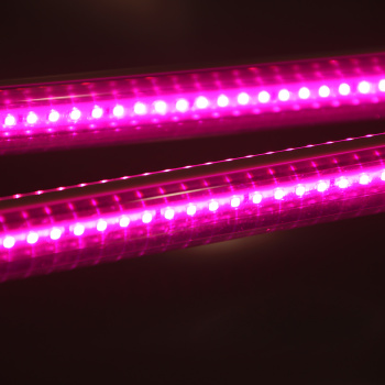 Фитосветильник светодиодный Smartbuy, 12 Вт, фиолетовый свет, IP20