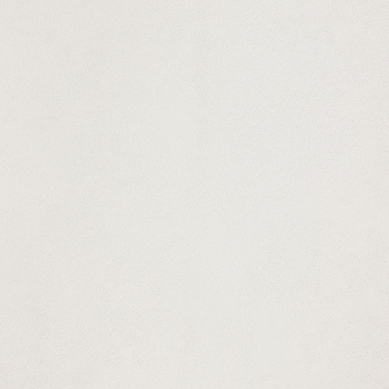 Обои  флиз Ateliero Rinaldi 285641 1.06*10м *6