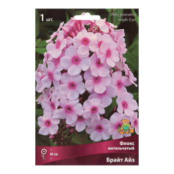 Флокс метельчатый Брайт Айз 1шт