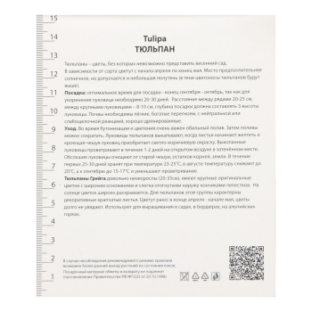 Тюльпан Грейга Айс Лолли 11-12/10шт