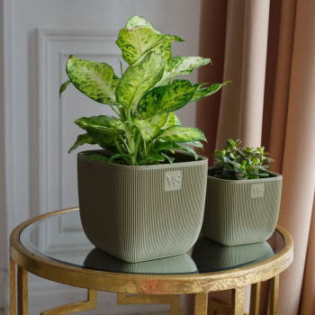 Кашпо пластм. "Фабио" 1,95л 140х140мм h140мм со вставкой Оливка AMF-1,95-14 ("VipSet") *1/8 Кашпо пластм. "Фабио" 1,95л 140х140мм h140мм со вставкой Оливка AMF-1,95-14 ("VipSet") *1/8