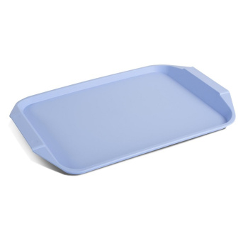 Поднос пластм. 430х300мм Голубой С48ФИЛ ("Мартика") *1/40 Поднос пластм. 430х300мм Голубой С48ФИЛ ("Мартика") *1/40