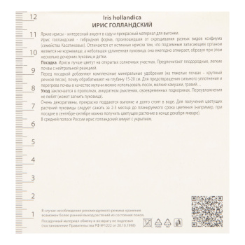 Ирис голландский смесь окрасок 7-8/10шт