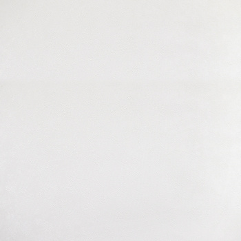 Обои флиз Elysium Виола фон (бел.) Е203900 1,06*10м  *1/4