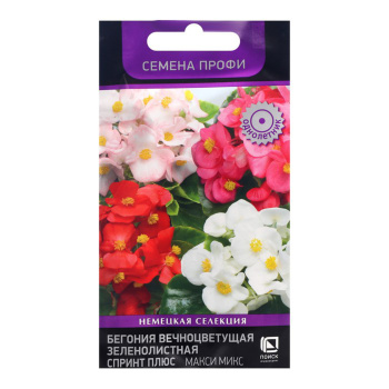 Бегония Спринт Плюс Макси Микс вечноцветущая зеленолистная 10шт - 15шт/10 Поиск *10
