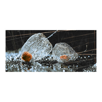 Плитка настенная Intercerama Fancy, 500х230х8 мм, физалис, черный