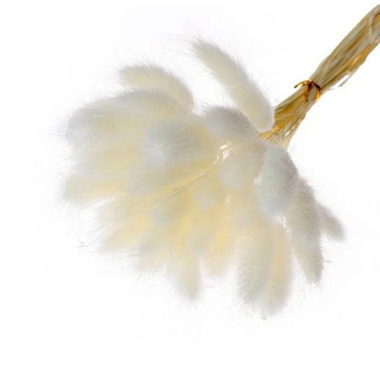 Сухие цветы лагуруса, набор 30 шт, цвет розовый   7123625