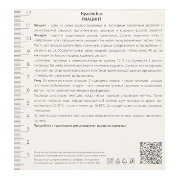 Гиацинт Садовый Пинк Перл 14-15/3шт