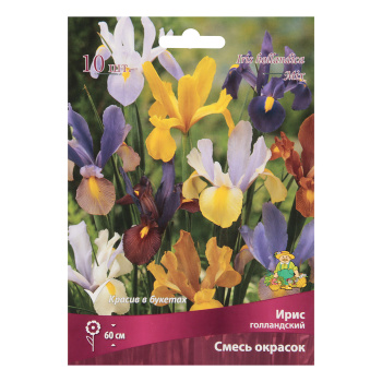 Ирис голландский смесь окрасок 7-8/10шт