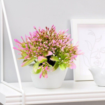 Бонсай в горшке "Горечавка" 10х15 см, микс 5201941